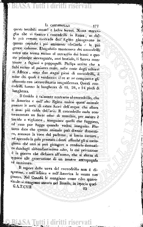 v. 4, n. 24 (1839-1840) - Pagina: 189