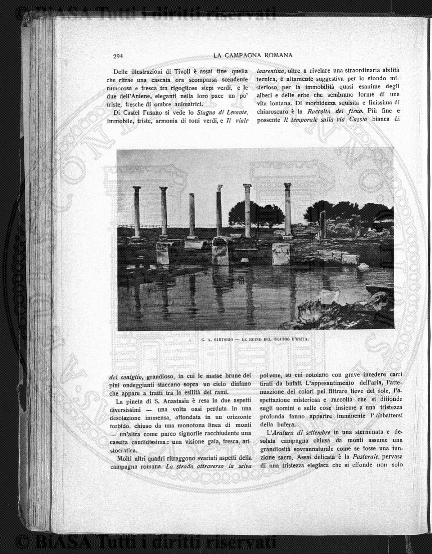 n. 8 (1843) - Pagina: 113