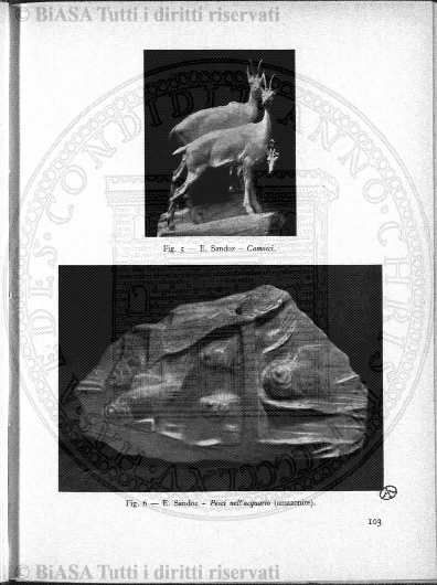 n. 11 (1925) - Pagina: 121