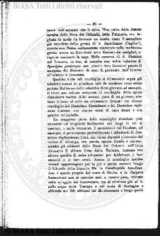 n. 10 (1907) - Pagina: 77