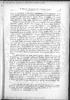 v. 5, n. 11 (1840-1841) - Pagina: 85