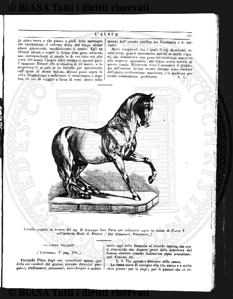 v. 8, n. 23 (1843-1844) - Pagina: 181