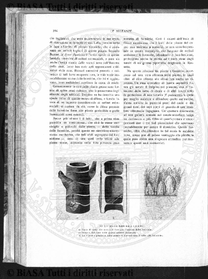 v. 24, n. 25 (1857-1858) - Pagina: 195