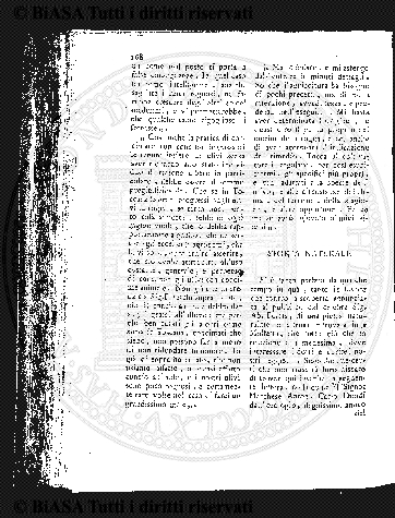 n. 4 (1925-1926) - Pagina: 117
