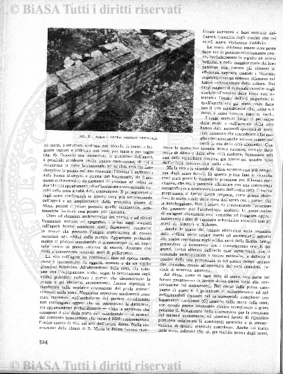 s. 6, n. 6 (1893) - Pagina: 81