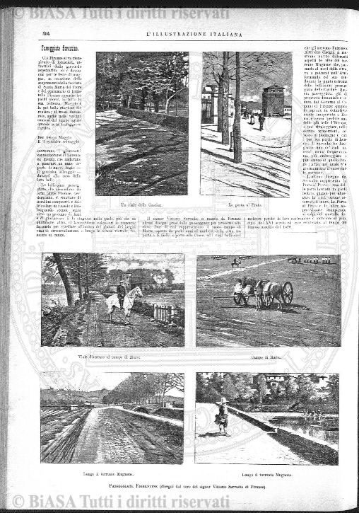 n. 24 (1904) - Frontespizio