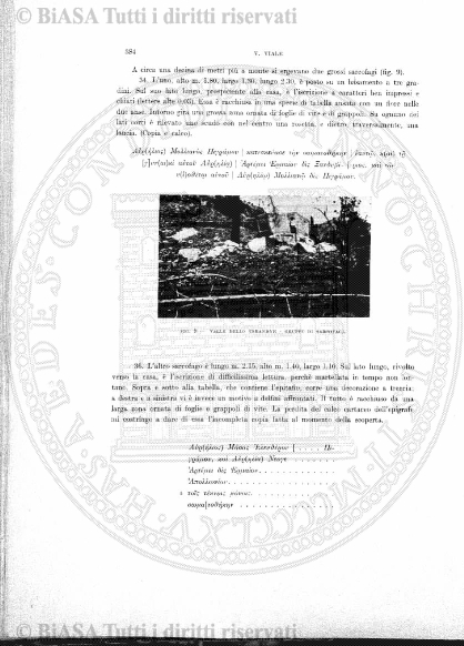 v. 5, n. 3 (1896) - Pagina: 33