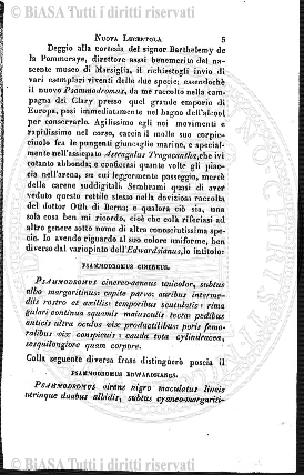 v. 1, n. 6 (1867) - Sommario: p. 81