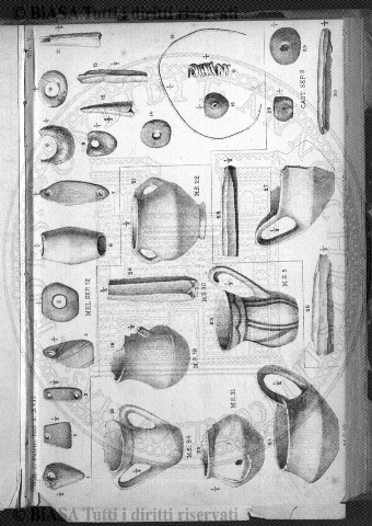 n. 4 (1885) - Pagina: 65