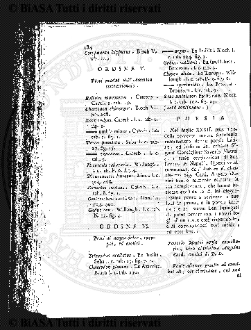 v. 5, n. 31 (1838-1839) - Pagina: 241