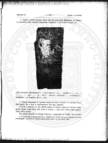 n.s., n. 175 (1858-1859) - Pagina: 193