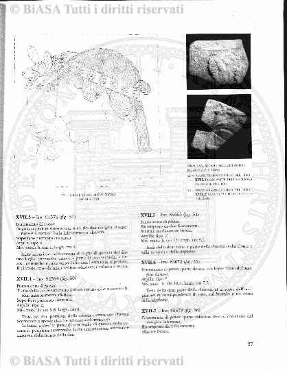 s. 2, n. 45 (1887-1888) - Pagina: 1
