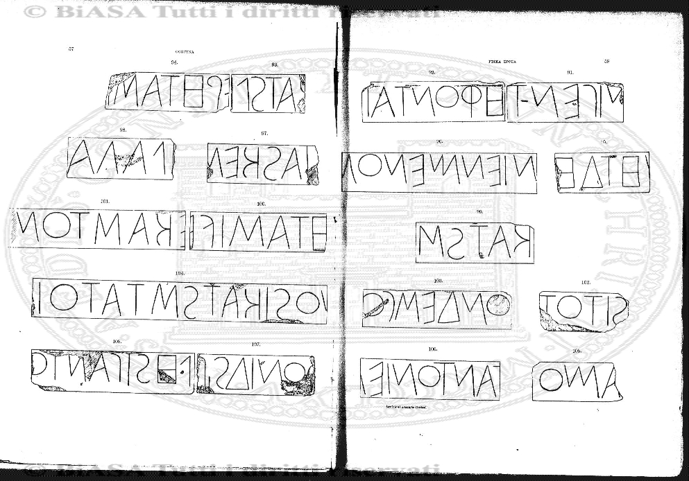 v. 23, n. 31 (1856-1857) - Pagina: 241