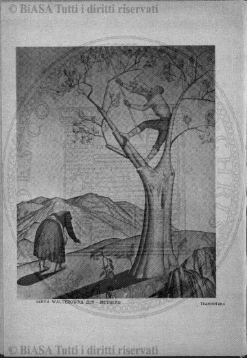 n. 15 (1925) - Frontespizio