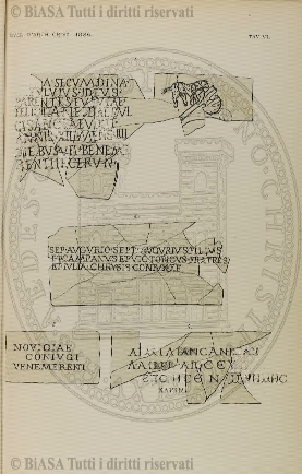 n.s., n. 77 (1855-1856) - Pagina: 17