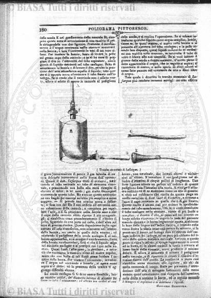 s. 5, n. 5 (1890) - Sommario: p. 65