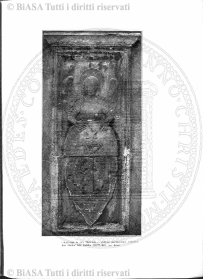 n. 8 (1834) - Pagina: 29