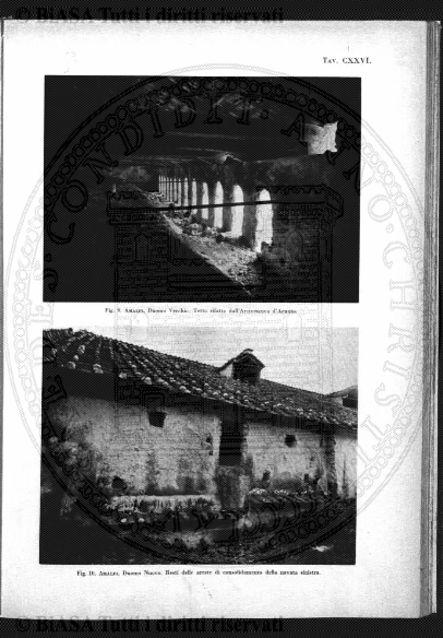 s. 3, n. 16 (1903) - Pagina: 101 e sommario