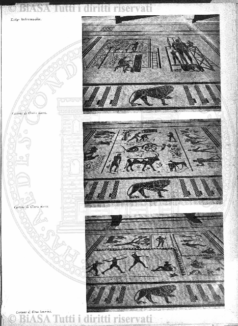 s. 2, v. 5, n. 12 (1889) - Pagina: 197