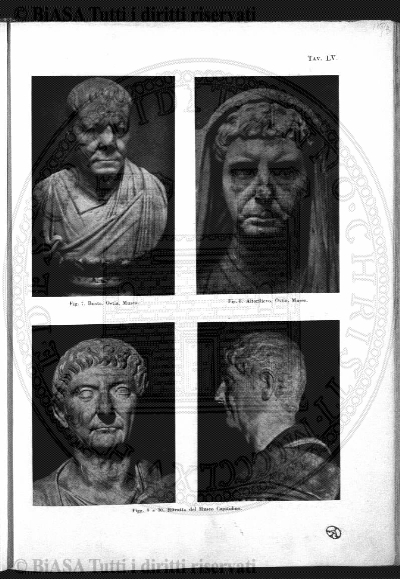 n. 5 (1900) - Pagina: 37