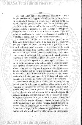 n. 7 (1846) - Pagina: 97