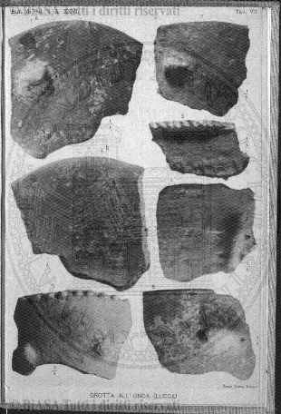 n.s., n. 91 (1855-1856) - Pagina: 129