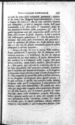 s. 3, n. 7 (1893) - Pagina: 97