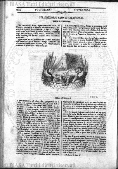 v. 20, n. 18 (1853-1854) - Pagina: 129