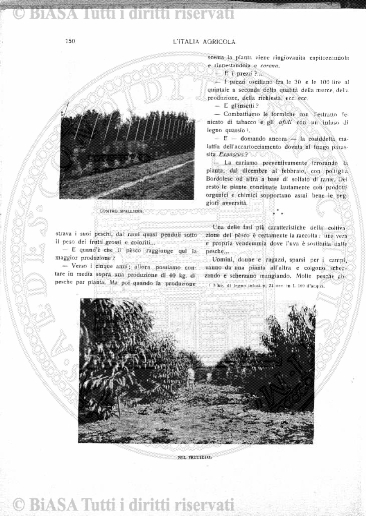 n. 47 (1888) - Frontespizio