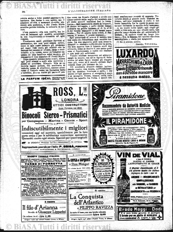 n.s., n. 79 (1855-1856) - Pagina: 33