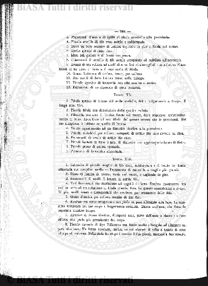 v. 21, n. 121 (1905) - Copertina: 1