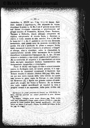 s. 2, n. 7 (1888-1889) - Pagina: 1