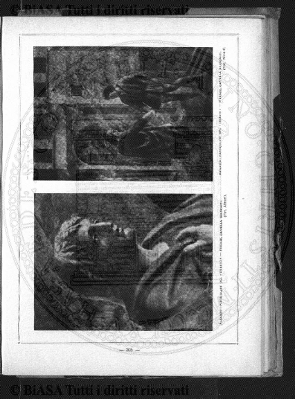 n. 6 (1925-1926) - Pagina: 265