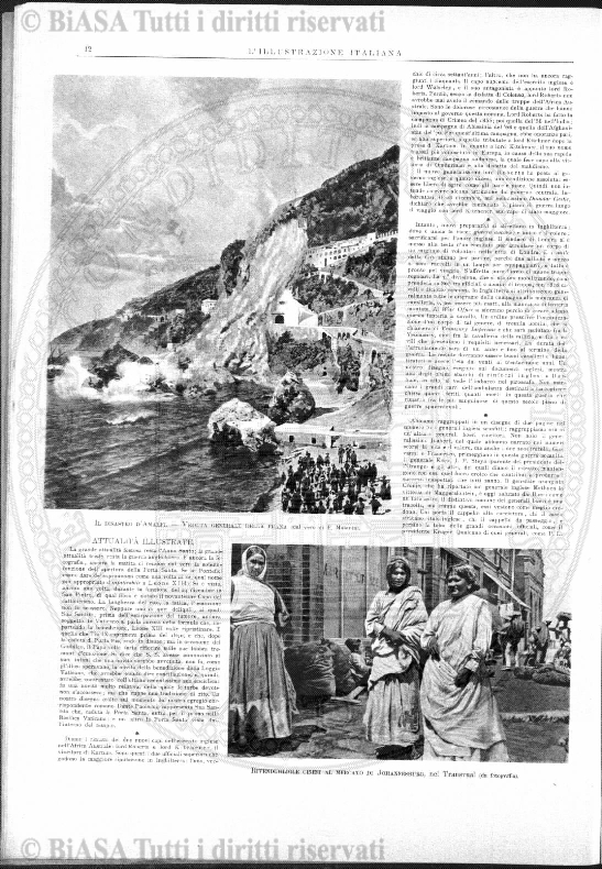 v. 22, n. 30 (1855-1856) - Pagina: 233