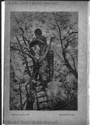 v. 2, n. 9 (1927-1928) - Pagina: 385