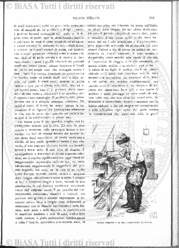 n. 6 (1931) - Pagina: 201
