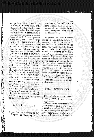 n. 50 (1904) - Frontespizio
