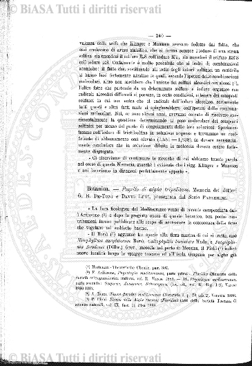 n. 18 (1894) - Frontespizio
