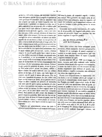 n. 8 (1890-1891) - Copertina: 1