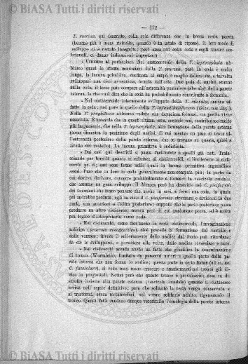 n. 9 (1919-1920) - Pagina: 105 e sommario