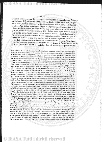 n. 2 (1907) - Pagina: 13