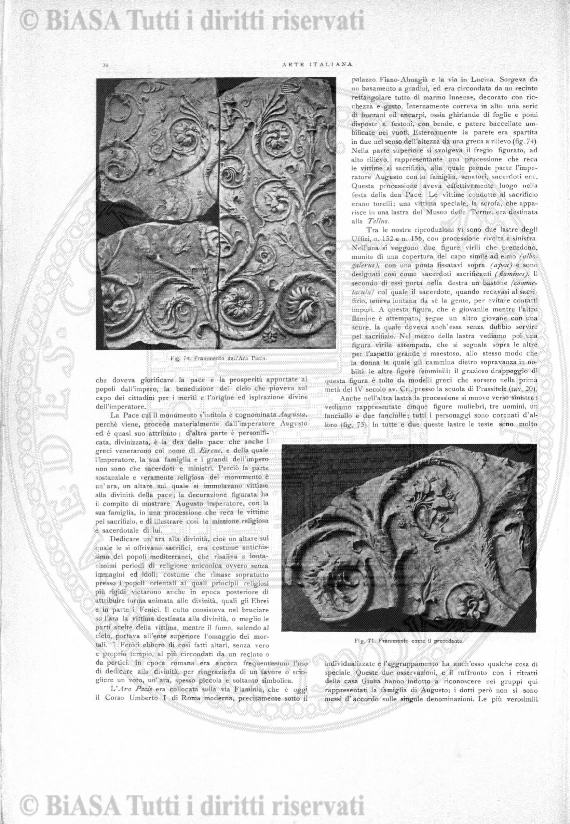 s. 6, n. 6 (1893) - Pagina: 81