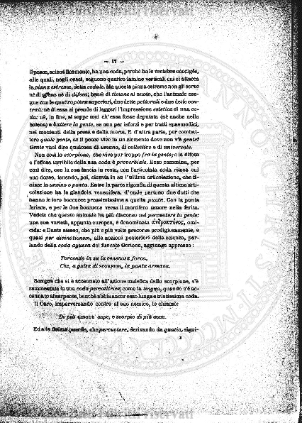 n.s., n. 181 (1860) - Pagina: 33