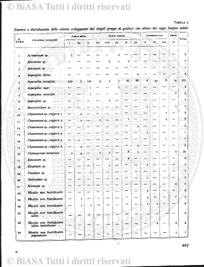 v. 5, n. 28 (1778-1779) - Pagina: 217