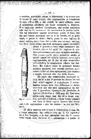 n. 24 (1892) - Frontespizio