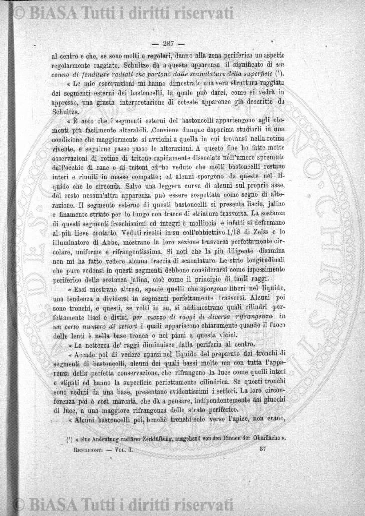 v. 2, n. 17 (1837-1838) - Pagina: 133