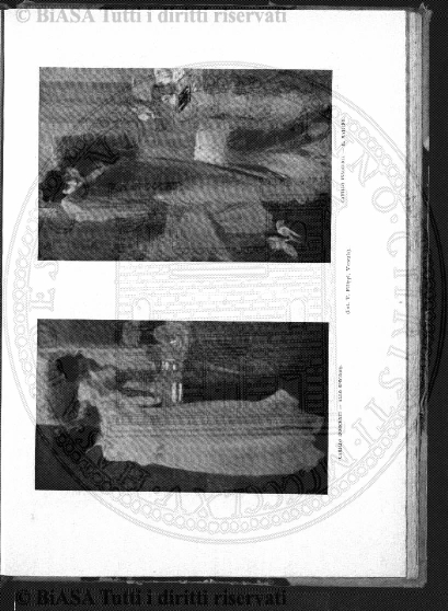 n. 5-6 (1909) - Pagina: 161