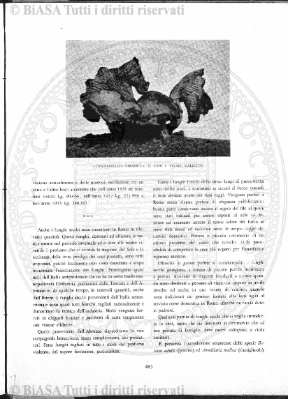 Indice topografico (1883) - Pagina: 3