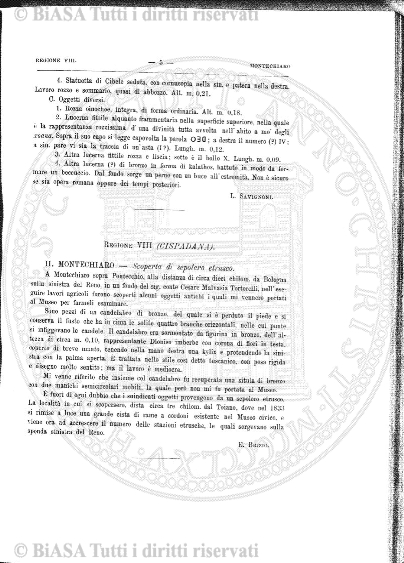 n. 11 (1871) - Pagina: 161