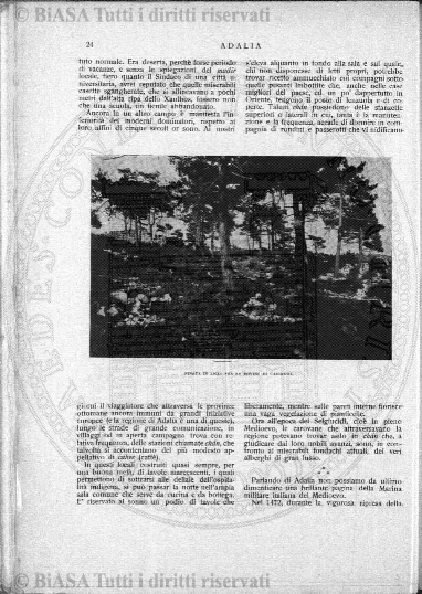 n. 36 (1891) - Frontespizio